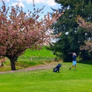 Meet your Posher, Kevin